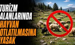 Isparta'da Turizm Alanlarında Hayvan Otlatma Yasağı Başladı