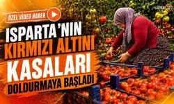 Isparta'nın Kırmızı Altını Kasaları Doldurmaya Başladı