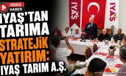 IYAŞ Tarım'dan Dev Yatırım: Modern Seralarda Hasat Başladı