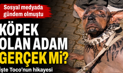 Köpek Olan Adam Videosu Gerçek Mi? Toco'nun Hikayesi Ortaya Çıktı
