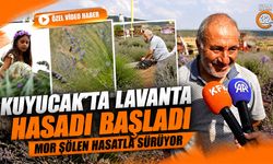 Kuyucak’ta Mor Şölen Yerini Bereketli Hasada Bıraktı