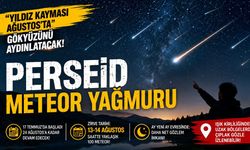 Meteor Yağmuru Ağustos'ta Gökyüzünü Şölene Dönüştürecek