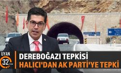 Yalım Halıcı'dan AK Parti'ye Dereboğazı Yolu Tepkisi