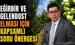 Yalım Halıcı'dan Eğirdir ve Gelendost Elması İçin TBMM Önergesi