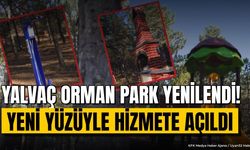 Yalvaç Orman Park Yenilendi: Modern Yaşam Alanı Hizmette