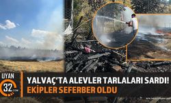 Yalvaç'ta Alevler Tarlaları Sardı! Ekipler Seferber Oldu