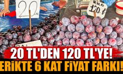 20 TL'lik erik 120 TL'ye satılıyor: Aradaki 6 katın sebebi belli oldu!