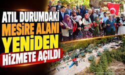 Atıl Durumdaki Mesire Alanı Yeniden Açıldı