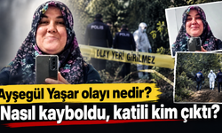 Ayşegül Yaşar olayı nedir? Nasıl kayboldu, katili kim çıktı?