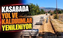 Çarıksaraylar'da Yol Yenileme Seferberliği Başladı