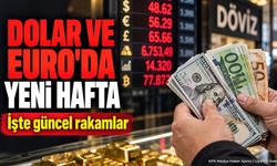Döviz Kurlarında Haftanın İlk Günü: Dolar ve Euro Fiyatları Belli Oldu