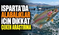 Eğirdir'de Gökkuşağı Alabalığı Projesi Başladı