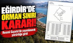Eğirdir'de O Alan Orman Sınırından Çıkarıldı: Karar Yayımlandı