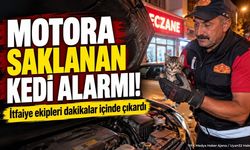 Eğirdir'de Otomobil Motoruna Saklanan Yavru Kedi Kurtarıldı