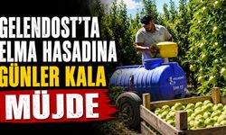 Gelendost'ta Elma Hasadına Günler Kala Müjde: Ağaç Başı Verim Rekor Seviyeye Ulaştı!