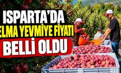 Gelendost Yenice Köyünde Elma Hasadı Yevmiyesi Belli Oldu