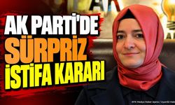 Fatma Betül Sayan Kaya AK Parti'deki Görevlerinden Affını İstedi