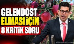 Gelendost Elma Üreticilerinin Sorunları TBMM Gündeminde