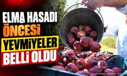 Gelendost'ta Elma Hasadı Yevmiyeleri Belli Oldu
