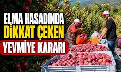 Gelendost Yenice Köyünde Elma Hasadı Yevmiyesi Belli Oldu