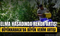 Gelendost'ta Elma Hasadına Günler Kala Müjde: Ağaç Başı Verim Rekor Seviyeye Ulaştı!