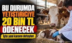 Hayvan Yetiştiricilerine Atık Desteği Müjdesi: Fiyatlar Artırıldı