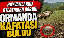 Hayvanlarını Otlatırken Gördü! Ormanda Kafatası Buldu