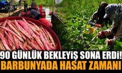 Isparta’da 90 Günlük Bekleyiş Sona Erdi! Barbunyada Hasat Zamanı