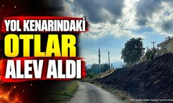 Isparta Çarıksaraylar'da Korkutan Otluk Alan Yangını