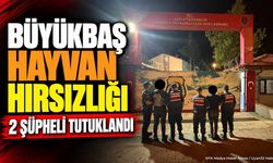 Isparta'da 4 Büyükbaş Hayvan Çalan 2 Şüpheli Tutuklandı