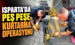 Isparta'da Araçta ve Mazgalda Mahsur Kalan 3 Kedi Kurtarıldı