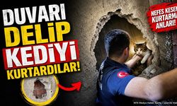 Isparta'da Duvarı Delen İtfaiye Yavru Kediyi Kurtardı