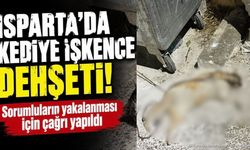 Isparta'da Kediyi İple Bağlayıp Çöpe Attırlar: Mahalleden Sert Tepki