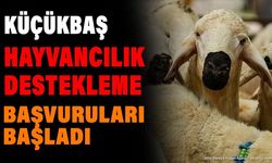 Isparta'da Küçükbaş Hayvancılık Destekleme Başvuruları Başladı