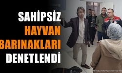 Isparta'da Sahipsiz Hayvan Barınaklarında Sıkı Denetim