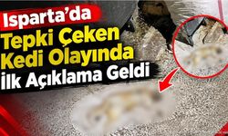 Isparta'daki Kedi İddiasıyla İlgili İlk Açıklama Geldi