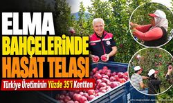 Hasat Telaşı Başladı: Türkiye’de Her 3 Elmadan 1’i Isparta’dan