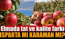 Isparta elması mı Karaman elması mı? Tat, aroma ve kalite farkı dikkat çekiyor