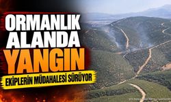 Isparta Koçtepe'de Orman Yangını: Ekipler Müdahale Ediyor