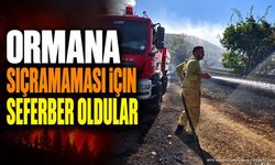 Isparta Senirkent'te Yangın: Alevler Ormana Sıçramadan Söndürüldü