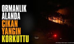 Isparta Yenişarbademli'de korkutan yangın: Ekipler alevleri nasıl söndürdü?