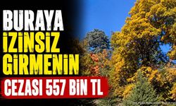 Isparta'daki dünyada tek ormana izinsiz basanın cezası 557 bin TL: İşte giriş şartları