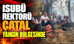 ISUBÜ Rektörü Yılmaz Çatal'dan Yangın Sahasından Sitem Dolu Paylaşım