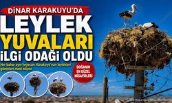 Karakuyu Köyünde Leylek Hareketliliği: Göç Öncesi Renkli Anlar