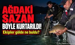 Kovada Gölü'nde Gece Denetimi: Kaçak Avlanan Sazan Balığı Kurtarıldı