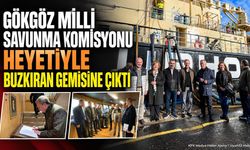 Mehmet Uğur Gökgöz Finlandiya'da Buzkıran Gemisini İnceledi