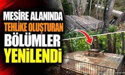 Mesire Alanı'nda Tehlike Oluşturan Ahşap Bölümler Yenilendi