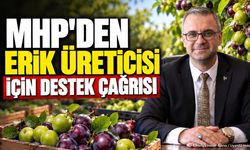 MHP'den Erik Üreticileri İçin Çağrı: Kamu Satın Almalı