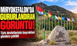 Miryokefalon Hatıra Ormanı'nda Türk Bayrakları Göndere Çekildi