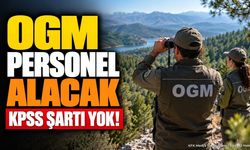 OGM 41 Personel Alımı Yapıyor: Başvurular e-Devlet'te Başladı